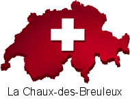 La Chaux-des-Breuleux ( Jura): Kartenlegen Hellsehen Wahrsagen