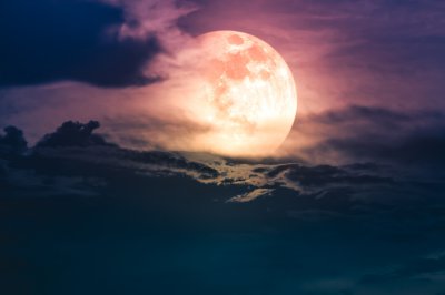 So nutzen Sie die verschiedenen Mondphasen für Magie & Rituale ©  kdshutterman @ shutterstock