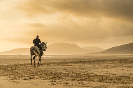 Der alte Mann und das Pferd, Geschichte, Morgaine la Fay, Zukunftsblick, Seherin Morgaine la Fay Foto: ©  Andrew Lever @ Fotolia