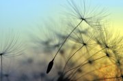 Burnout - Wie kann man diesen Zustand überwinden? Foto: © supertramp8 @ Fotolia Burnout-Syndrom,Ausgebranntsein,Suggestionen Foto: © supertramp8 @ Fotolia