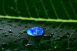 Wasser-Opal Foto: ©  Pesh Siri @ shutterstock