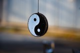 Yin und Yang Foto: ©  Julio Jaimes Trejo @ shutterstock