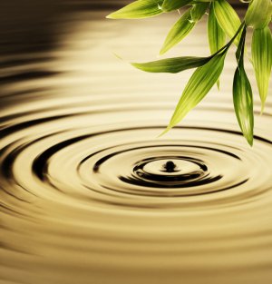 Achtsamkeit Foto: ©  Nejron Photo @ shutterstock