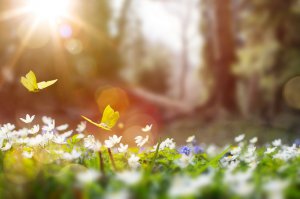 Anderswelt Foto: ©  Konstiantyn.jpeg @ AdobeStock