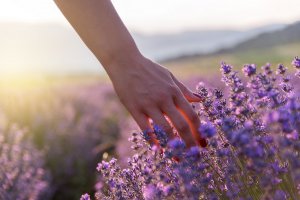 Anziehung Foto: ©  Grigor.jpeg @ AdobeStock