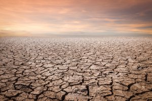 Apokalypse Foto: ©  frank29052515.jpeg @ AdobeStock