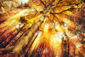 Astralreisen Foto: ©  Smileus @ Fotolia