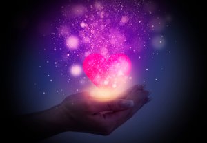 Bildzauber Foto: ©  Mia Stendal @ shutterstock