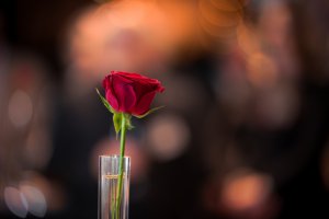 Bindungsmagie Foto: ©  Jennifer Sophie @ shutterstock