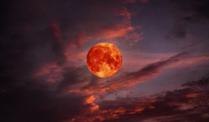 Blutmond Foto: ©  natara.jpeg @ AdobeStock