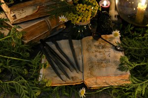 Botanomantie Foto: ©  Vera Petruk @ shutterstock
