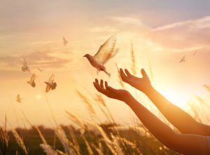 Chalder Foto: ©  PopTika @ shutterstock