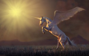 Einhornkarten Foto: ©  Viktoriia Bondarenko @ shutterstock