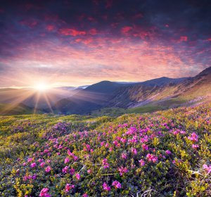 Erdgeist Foto: ©  Andrew Mayovskyy @ shutterstock