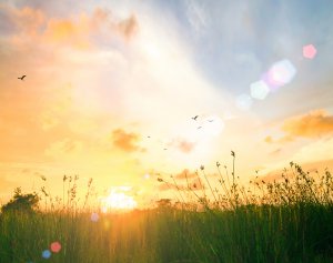 Erscheinung Foto: ©  Jacob_09 @ shutterstock