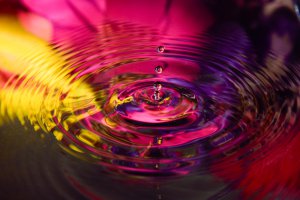 Farbenhren Foto: ©  Wichudapa @ shutterstock