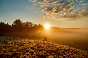 Fortuna Foto: ©  Videopoint @ shutterstock