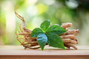 Ginseng Foto: ©  wasanajai @ shutterstock