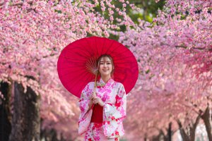 Hanami Foto: ©  BaLL LunLa @ shutterstock