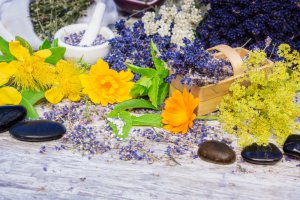 Hexenkruter Foto: ©  fotoknips @ shutterstock
