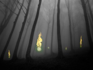 Irrlicht Foto: ©  Marti Bug Catcher @ shutterstock
