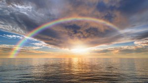 Jenseitskontakte zu Tieren Foto: ©  muratart @ shutterstock