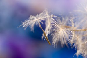 Journaling Foto: ©  Barbora Polivkova @ shutterstock