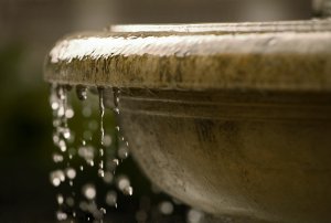 Jungbrunnen Foto: ©  Csaba Peterdi @ shutterstock