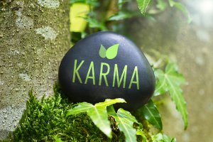 Karma Foto: ©  Bildagentur Zoonar GmbH.jpg @ shutterstock