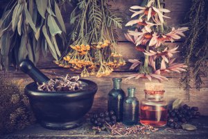 Krutermagie Foto: ©  Chamille White @ shutterstock