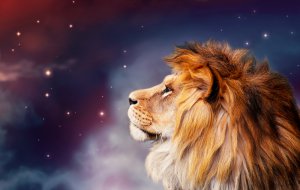 Krafttier Lwe Foto: ©  Julia Ardaran @ shutterstock
