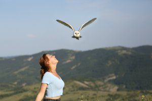 Krafttiermeditation Foto: ©  Antonio Guillem @ shutterstock