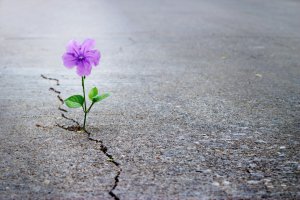 Kreativitt Foto: ©  PopTika @ shutterstock