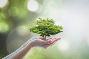 Lebensrad Foto: ©  Chinnapong @ shutterstock