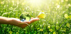 Magnetismus Foto: ©  Julia Ardaran @ shutterstock