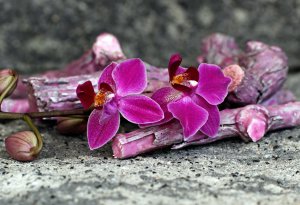 Orakel Foto: ©  Racamani @ AdobeStock