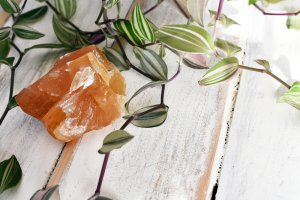 Orangencalcit Foto: ©  Pam Walker @ shutterstock