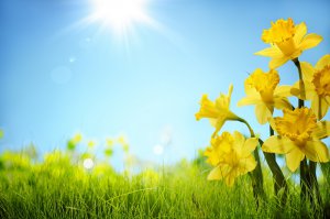 Ostern Foto: ©  Li Ding.jpeg @ AdobeStock