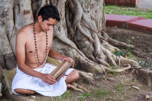 Palmblattbibliothek Ursprung Foto: ©  Nila Newsom @ shutterstock