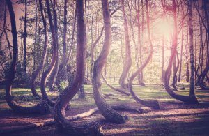 Paranormologie Foto: ©  Maciej Bledowski @ shutterstock