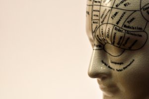 Phrenologie Foto: ©  B.erne @ shutterstock