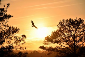 Schicksalhafte Zeichen Foto: ©  German @ AdobeStock