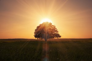 Seelenreise Foto: ©  A and I Kruk @ shutterstock