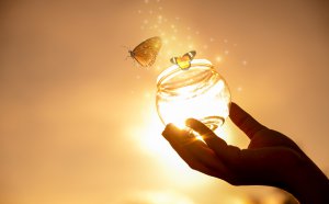 Seelentrennung Foto: ©  sarayut_sy @ shutterstock