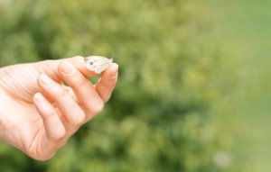 Serendipity Foto: ©  Tatyana Soares @ shutterstock
