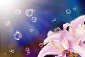 Sinn des Lebens Foto: ©  Moon Light PhotoStudio @ shutterstock