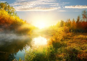 Synchronizitt Foto: ©  givaga @ shutterstock