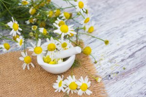Tier-Bachblten Foto: ©  fotoknips @ shutterstock