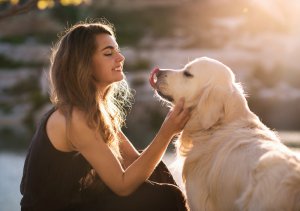 Tier-Bioresonanz Foto: ©  Romanova Anna @ shutterstock