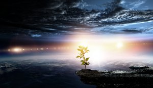 Traumsymbole Foto: ©  Sergey Nivens @ shutterstock